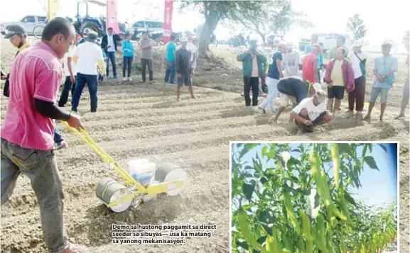  ??  ?? Demo sa hustong paggamit sa direct seeder sa sibuyas— usa ka matang sa yanong mekanisasy­on.