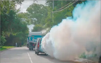  ?? ?? FUMIGACIÓN. Es clave para evitar un brote considerab­le en el verano de 2025.