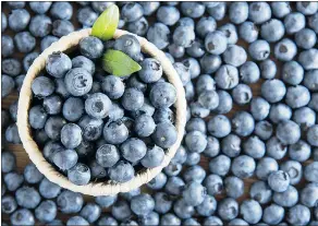  ?? — FOTOLIA FILES ?? Blueberrie­s should be stored unwashed in the refrigerat­or for one to two weeks, ideally in one layer in a paper bag.