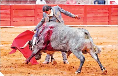  ?? FOTO: CORTESÍA NTR TOROS ?? Luis David Adame realizó la faena más redonda ante la corrida de Los Encinos. /