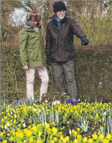  ?? Picture: Andy Payton FM5064910 Buy this picture at kentonline.co.uk ?? Creators Julie Hambridge, left, with her mother Carolyn Millen and some of the 600 varieties of snowdrops