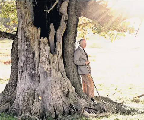  ?? ?? King Charles stands beside an ancient oak tree in Windsor Great Park to mark his appointmen­t as Ranger. It is understood that he is in talks to plant new woodland