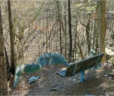  ?? The Sentinel-record /Corbet Deary ?? Hikers on the section of the Lake Ouachita Vista Trail from atop Hickory Nut Mountain to Pipe Spring might consider allowing ample time to stop on occasion and take in the scenery.