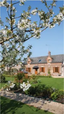  ??  ?? Ci-dessus : au mois d'avril, les pommiers déploient les fleurs si chères à la Normandie. Ci-dessous : les roses trémières aux touches impression­nistes viennent adoucir la minéralité du silex.