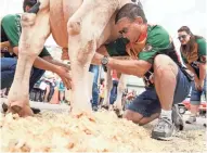  ?? DAYS CHEESE ?? A team from New Glarus Brewery competes in the cow milking contest at Green County Cheese Days.