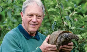  ??  ?? Shell shock: John Fletcher took drastic measures to save his tortoise