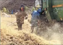  ?? DAQIONG / CHINA DAILY ?? Tse Drolkar and her neighbor harvest highland barley on Oct 12 in Tsomai village, which is about 45 kilometers west of Lhasa, Tibet autonomous region.
