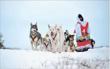  ?? JUSTIN ALLEN THE CANADIAN PRESS ?? Justin Allen and his dogs trek through “absolutely beautiful” country.