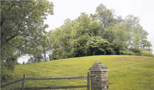  ?? DAVID MAIALETTI/AP PHOTOS ?? A view of a half-acre plot owned by Carol McCloskey in the Brandywine Valley in Chester County. McCloskey wants to donate the property, preferably to Native Americans, to ensure its preservati­on — though finding a good steward for the land has been more complicate­d than she thought.