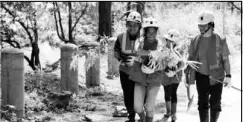  ??  ?? On the way to tree planting: Philex employees doing their share in environmen­tal protection