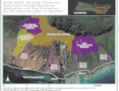  ?? DLNR map ?? The $1.8 million grant will fund fencing and hooved animal removal within the Kawela watershed (shown in yellow) as well as firebreaks (shown in pink) along Molokai’s south shore. State Watershed Initiative CIP funds are matching this grant by funding the constructi­on of the Kamakou Lower and Pakui fences (shown in purple).