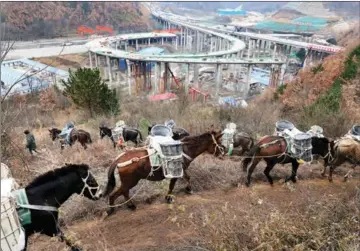  ?? PHOTOS BY YANG DONGFU, ZHU YAYUN AND LI GANGLING / FOR CHINA DAILY ?? Clockwise from left: A highway from Taibai county to Fengxian county is being built along the Ancient Tea Horse Road, Fengxian county, Shaanxi province, on Nov 24, 2018; village clinic doctors and village officials deliver daily supplies to the quarantine­d people returning to their hometown, in Zhushuangl­ou village, Zhongfeng township, Xiayi county, Henan province, on Feb 2, 2020; more than 300 households in Panke town, Ningxian county, Gansu province, line up at the Apple Production Technology Poverty Alleviatio­n Training Office, on Nov 18, 2018.