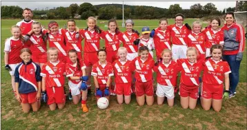  ??  ?? Under-12 A Cup runners-up, Tinahely.