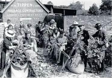 ?? ?? Hop-picking in the blitz of 1940. As it was dangerous to pick hops in the hop gardens some farmers brought their hops to the village so that pickers could be near their air raid shelters. These hop-pickers are picking hops in the main street of the village of Marden. September 1940