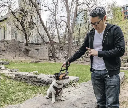  ?? DAVE SIDAWAY ?? “This is basically a public park,” says Phil Chu, who lives two blocks from the green space that St. Patrick’s Basilica is selling to HEC. Chu wants the City of Montreal to save the park from developmen­t plans.