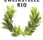  ??  ?? ZWEIGSTELL­E RIO