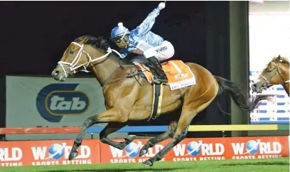  ?? Picture: JC Photograph­ics ?? BOOKIE’S FANCY. Safe Passage is among the early favourites for the Summer Cup.