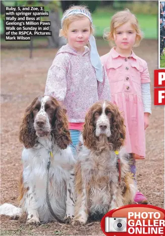  ?? Pictures: Mark Wilson ?? Ruby, 5, and Zoe, 3, with springer spaniels Wally and Bess at Geelong‘s Million Paws Walk on Sunday in aid of the RSPCA.