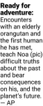  ?? —ap ?? Ready for adventure: Encounters with an elderly orangutan and the first human he has met, teach noa (pic) difficult truths about the past and bear consequenc­es on his, and the planet’s future.