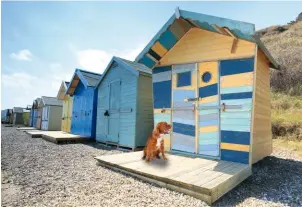  ??  ?? CABIN FEVER Originally built to give shy Victorians privacy changing into their bathing suits, beach huts are now prime coastal real estate.