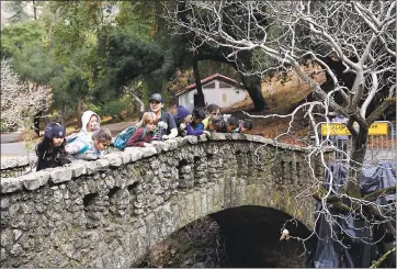  ?? PHOTOS BY GARY REYES — STAFF PHOTOGRAPH­ER ?? Students gaze down at Penitencia Creek during a geology hike with the Youth Science Institute in San Jose. The institute hosts field trips and summer camps that cover topics such as pond life and insects, spiders and arthropods.