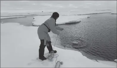  ?? Photo by Deonie Allen/Alfred Wegner Institute ?? SAMPLING — Researcher Melanie Bergmann samples the icy water during a 2021 expedition.