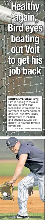  ??  ?? BIRD’S-EYE VIEW: Greg Bird is hoping to reclaim the spot at first that looked like it would be his for years to come when he debuted, but after Bird’s three years of injuries and struggles, Luke Voit (below) is now the favorite for the job. N.Y. Post: Charles Wenzelberg