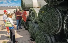  ?? Zbigniew Bzdak / Chicago Tribune / MCT ?? Jerry Kessler (center), branch manager of Repurposed Materials, offers AstroTurf salvaged from a Chicago high school.