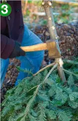  ??  ?? Vous pouvez aussi utiliser une petite hache. Mais attention à ne pas vous blesser : tenez le tronc bien vertical, à l’envers et procédez par petits coups répétés. Le tronc pourra servir de tuteur pour vos plantation­s futures.