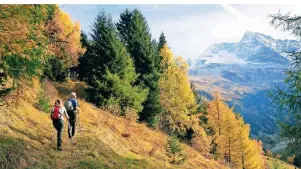  ??  ?? 500 Kilometer markierte Wanderwege führen durch die naturbelas­senen Bergtäler des Wipptals.