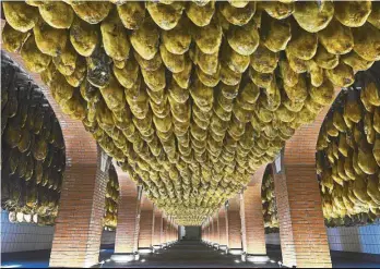  ??  ?? Legs of 100% Iberian ham hang from the ceiling of a factory in Jabugo, Spain. China has started getting a serious taste for Spain’s world-famous jamon, which is sold there as a luxury product, and is getting one over on its French and Italian...