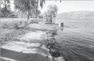  ?? Special to the Herald ?? Shorelines impacted from last year’s flooding are prone to invasive plant establishm­ent and further damage if not restored.