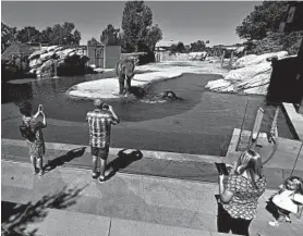  ?? DAVID ZALUBOWSKI/AP ?? Visitors observe social distancing rules while observing elephants as the Denver Zoo reopened on Friday.