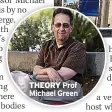  ?? ?? THEORY Prof Michael Green