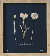  ??  ?? ABOVE Framed Pressed Cornflower
Artwork, £50, MR Studio London.