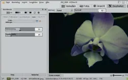  ??  ?? Links: Das Modul Ansicht bietet Schnellkor­rekturen für eine Auswahl an Bildern.