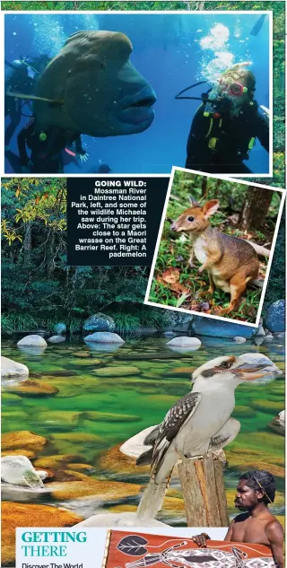  ??  ?? going wild: Mossman River in Daintree National Park, left, and some of the wildlife Michaela saw during her trip. Above: The star gets close to a Maori wrasse on the Great Barrier Reef. Right: A pademelon