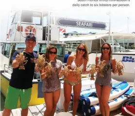  ??  ?? South Florida limits mini-season's daily catch to six lobsters per person.