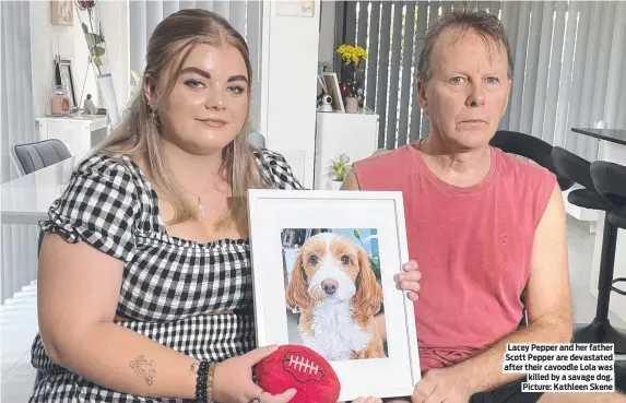  ?? ?? Lacey Pepper and her father Scott Pepper are devastated after their cavoodle Lola was killed by a savage dog. Picture: Kathleen Skene
