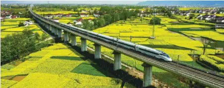  ??  ?? El 24 de marzo de 2021, las flores de colza florecen en la ciudad de Hanzhong de la provincia de Shaanxi (noroeste de China). Un tren de alta velocidad pasa por un campo de flores de colza. (Pueblo en Línea / Tang Zhengjiang)