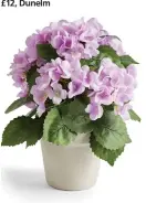  ?? ?? Artificial potted purple hydrangea, £15, Dunelm