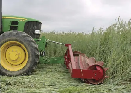  ??  ?? The Rodale Institute defines its roller crimper design as “a water-filled drum with chevronpat­terned blades that attaches to the front of a tractor.”