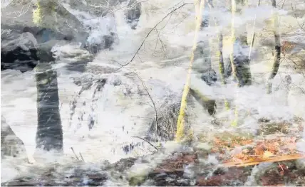  ??  ?? Perthshire scene Su Grierson blended images of river and forest in her video art for Confluence of North