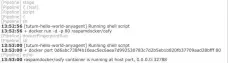  ??  ?? Figure 11: Query the port mapping on the host