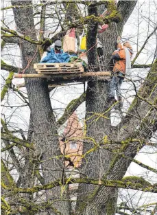  ?? FOTO: DPA/FELIX KÄSTLE ?? Zahlreiche Rechtsvers­töße hat es nach Aussage des Innenminis­teriums im Rahmen der Ravensburg­er Baumbesetz­ungen gegeben.
