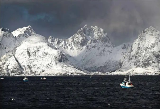  ??  ?? Mens garnbåtene drar ut tidlig på natta for å fiske, kommer sjarkene og juksefiske­rne når dagen lysner. Rundt 150 båter var å finne i en radius på sju nautiske mil fra Nesejenta.