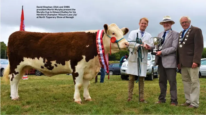  ??  ?? David Sheehan (ISA) and IHBS president Martin Murphy present the Murphy Cup to Edward Dudley for his Hereford Champion ‘Kilsunn Lass Lily’ at North Tipperary Show at Nenagh