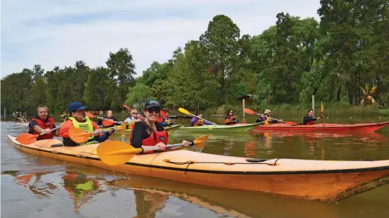  ??  ?? El arroyo El Dorado ayuda a remar distendido ya que en él no se permite la circulació­n de lanchas a gran velocidad. Es un lugar también de fondeo.