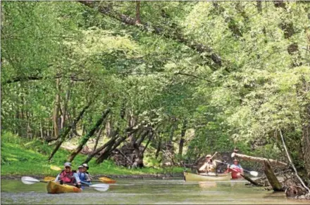  ?? PHOTO COURTESY SCHUYLKILL RIVER GREENWAYS NATIONAL HERITAGE AREA ?? Kayakers enjoy the Schuylkill River. The Schuylkill River Greenways National Heritage Area ( formerly the Schuylkill River Heritage Area), is accepting letters of interest from outfitters interested in providing access to kayak, canoe and bike rentals, refreshmen­ts and transporta­tion between access points along the river.