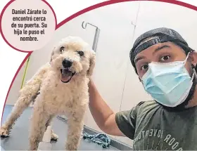  ??  ?? Daniel Zárate lo encontró cerca de su puerta. Su hija le puso el
nombre.